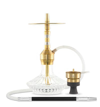 AMY DELUXE FUSION SHINE MINI SS33.03 GOLD - TRANSPARENT