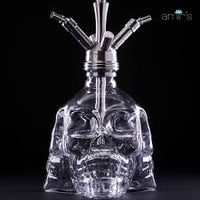 Chicha Amir's  3D Skull